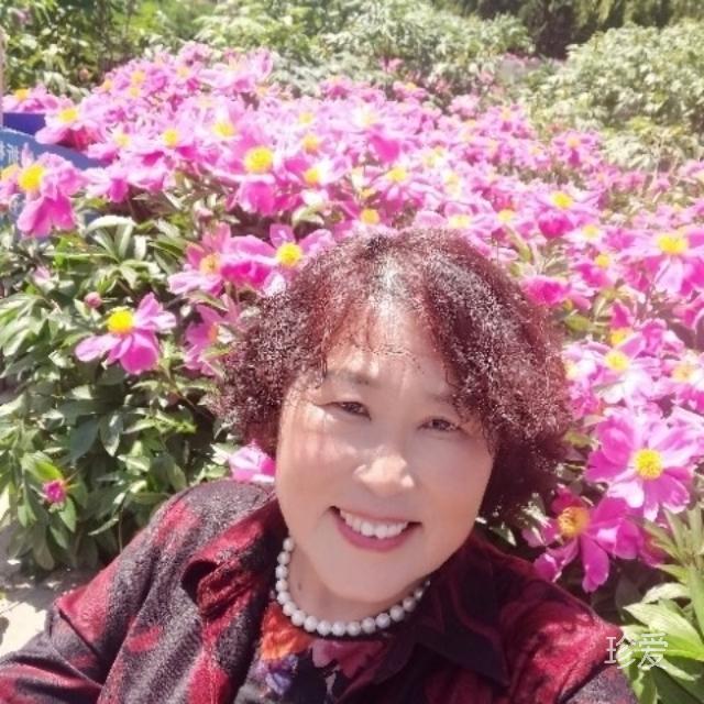 風(fēng)雨中的玫瑰