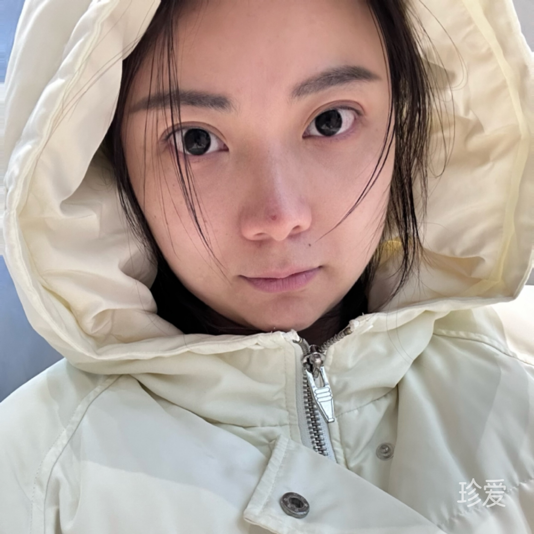 小Y女士
