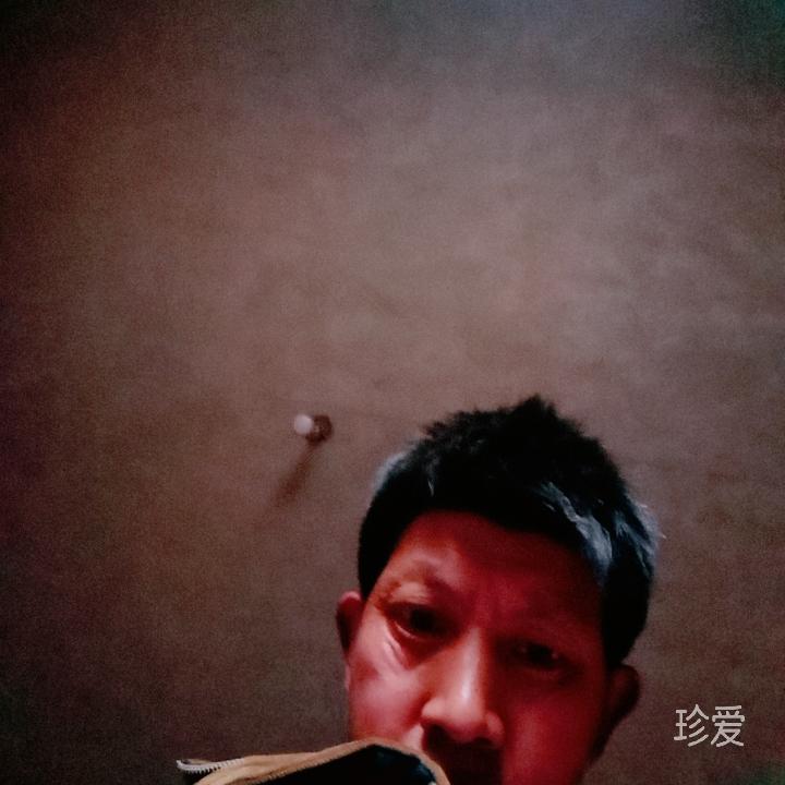 沒有你我怎么辦