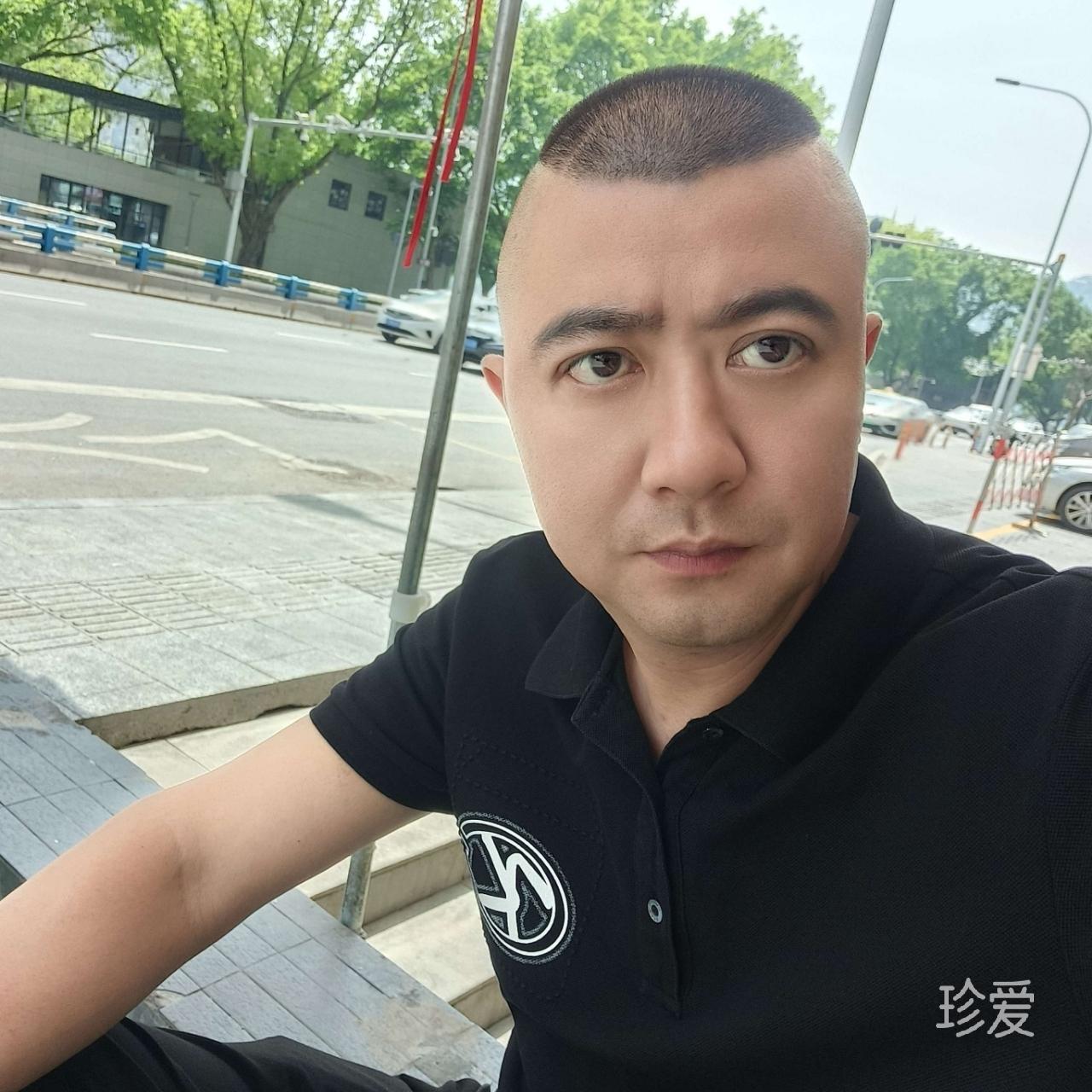 梧桐树