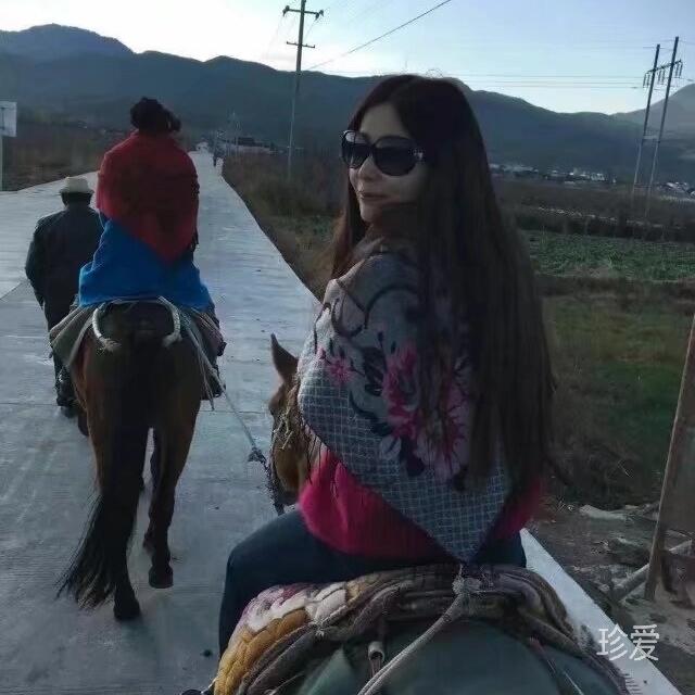 双鱼儿