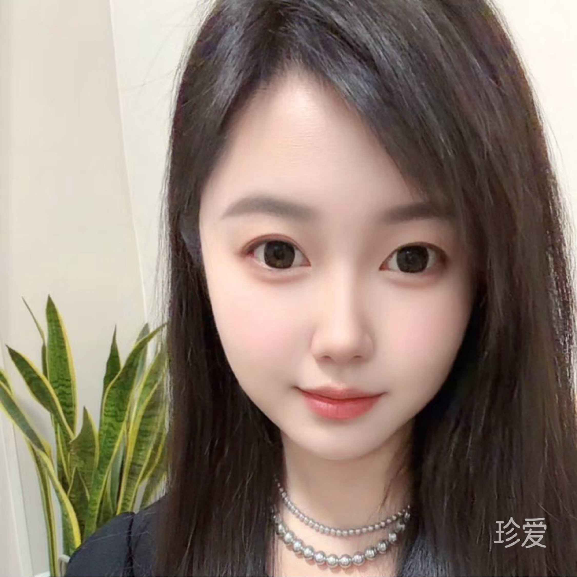 不爱游泳的鱼