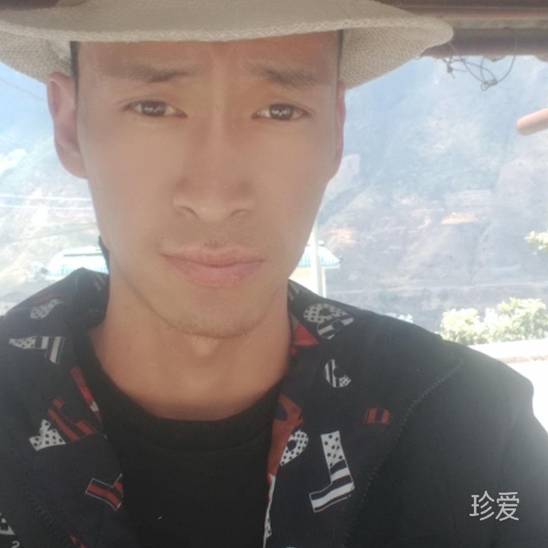 自由哥