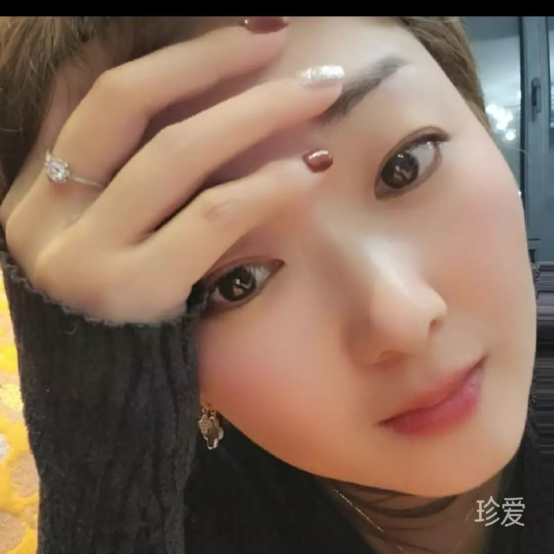 鸽子