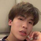 真摯的感情