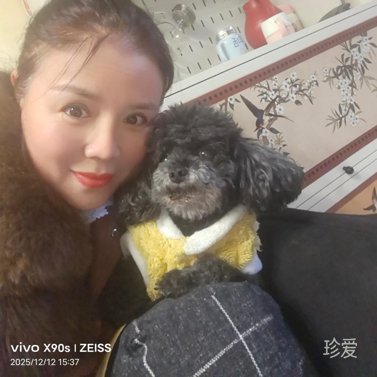 浮云似梦