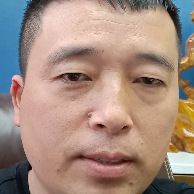 狐獨(dú)的風(fēng)