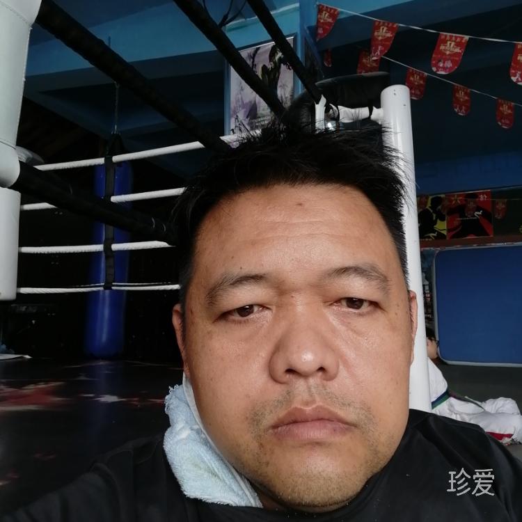 雨落青苔起相思