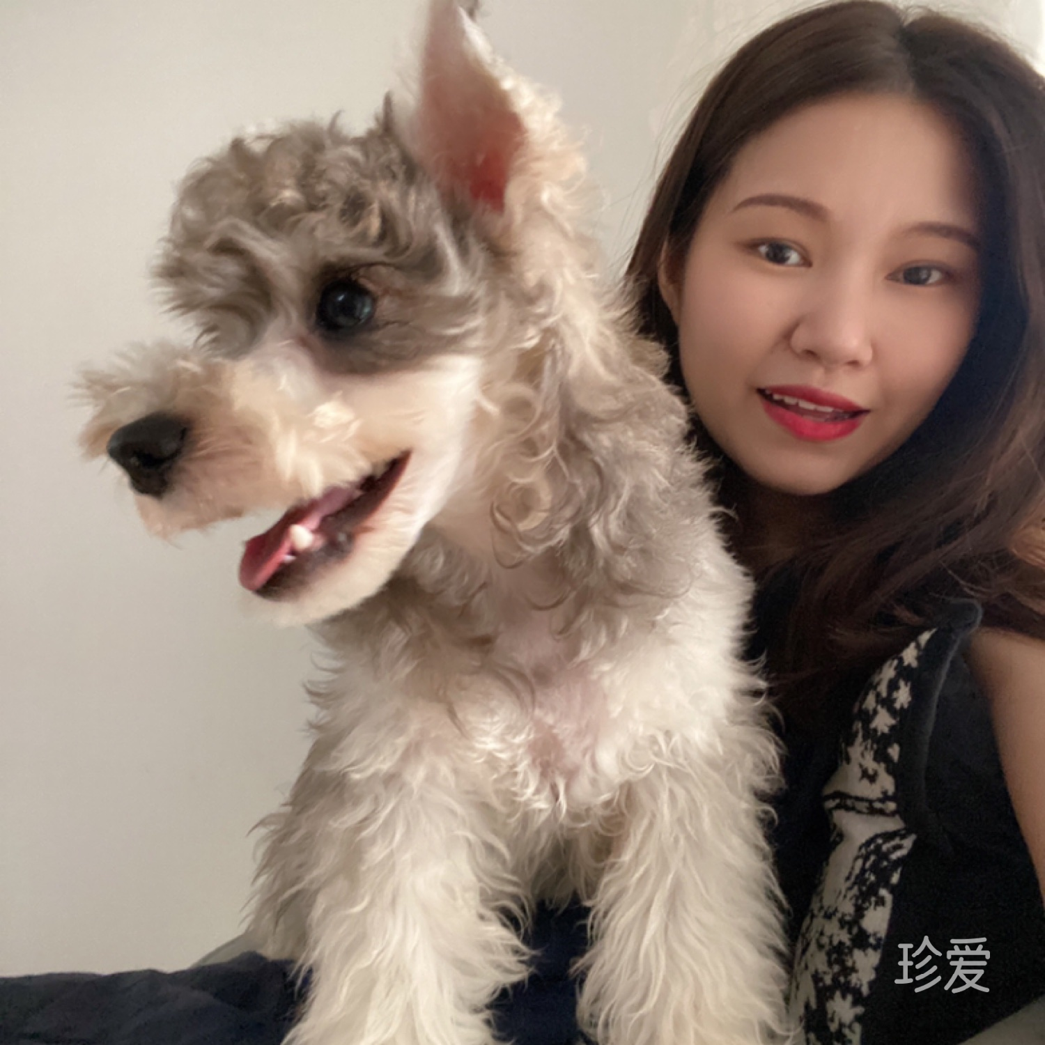 晓陌