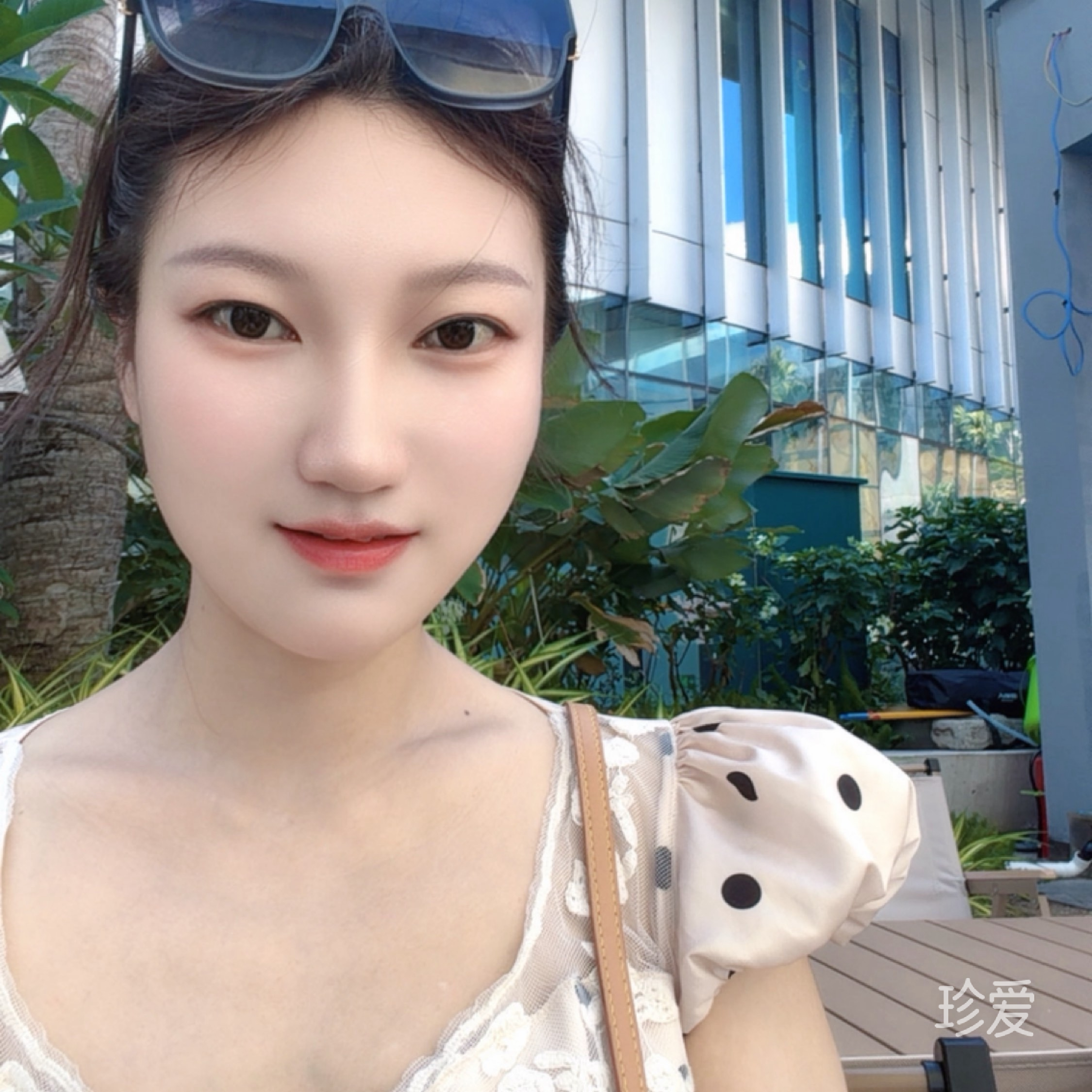 随心自由