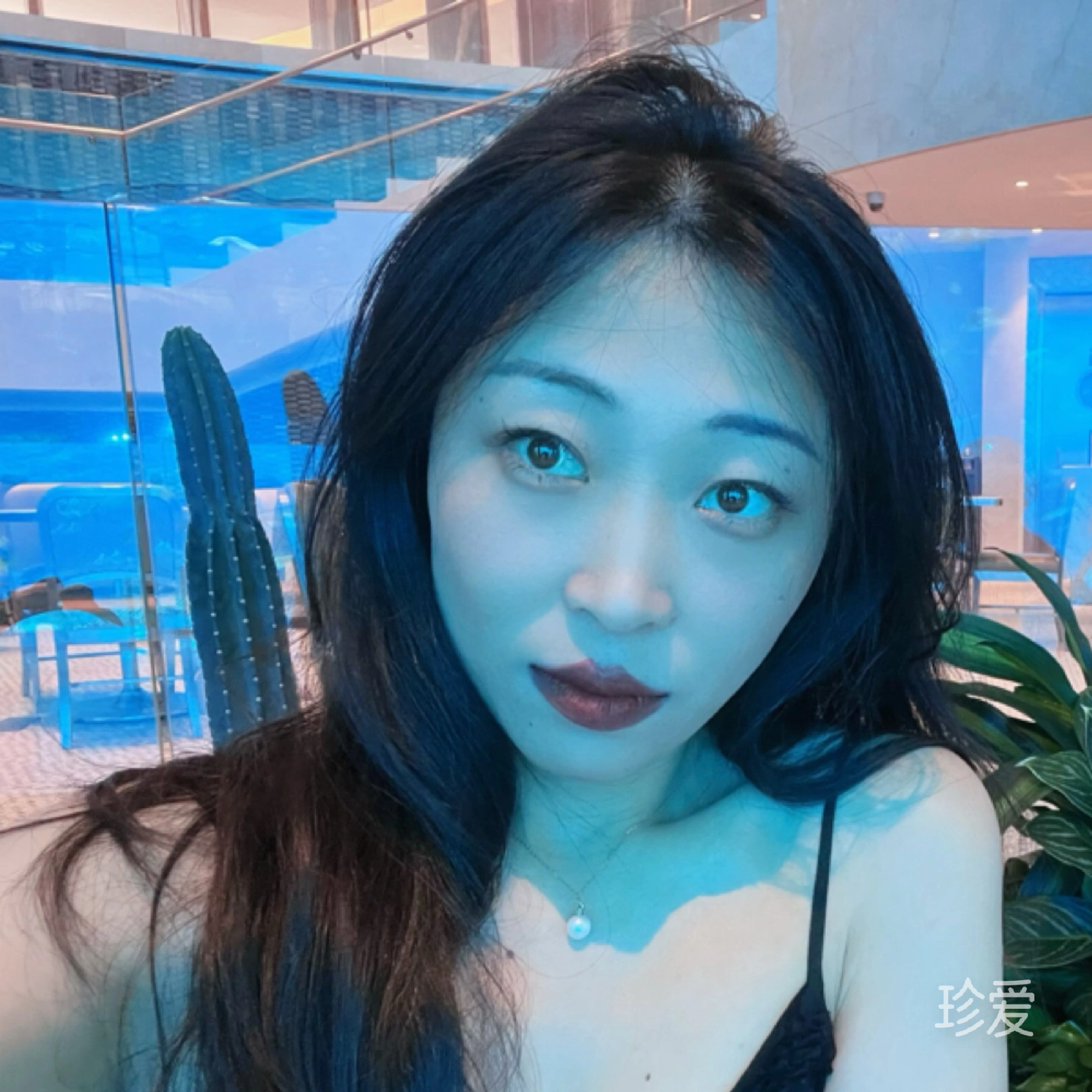 康康