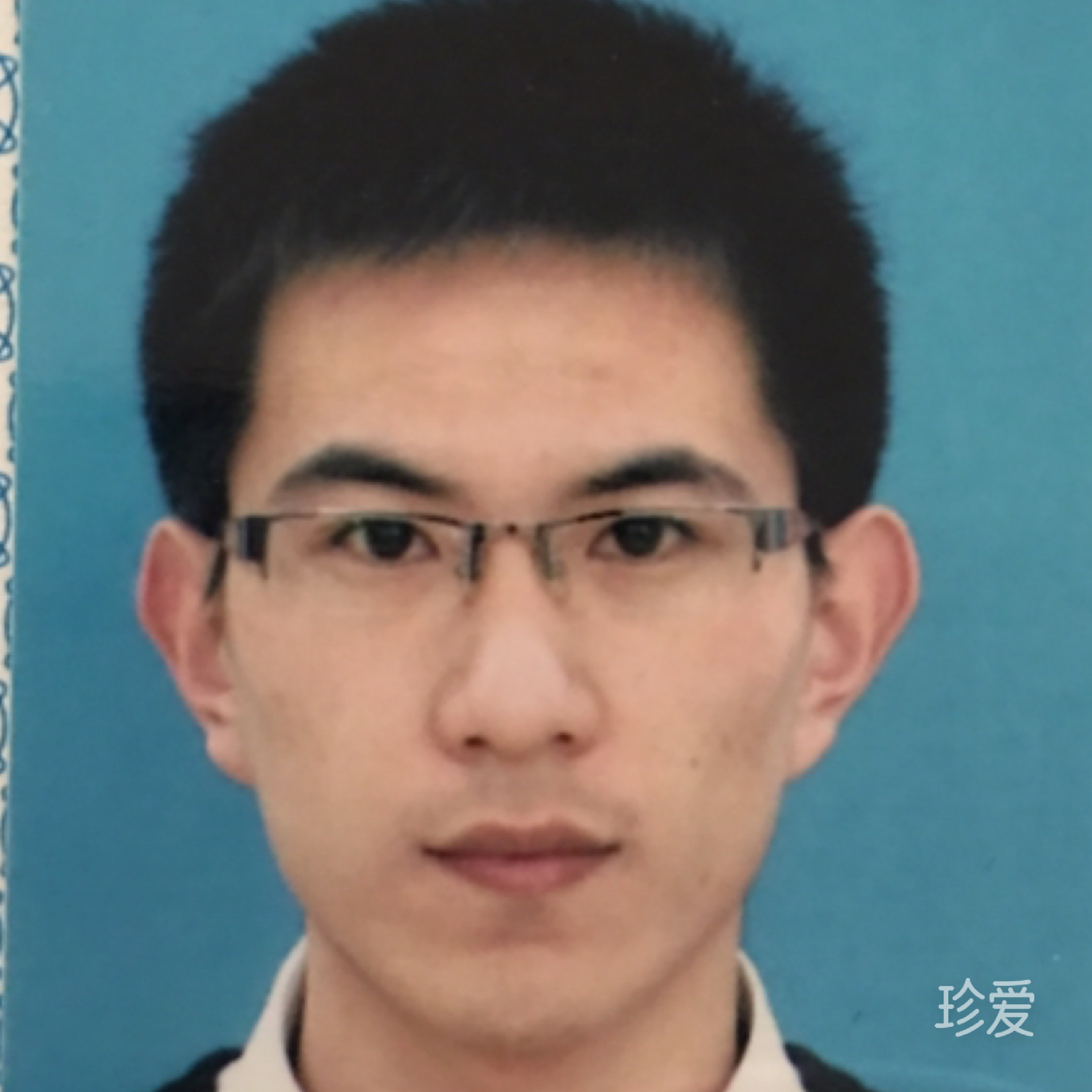 桥边小树