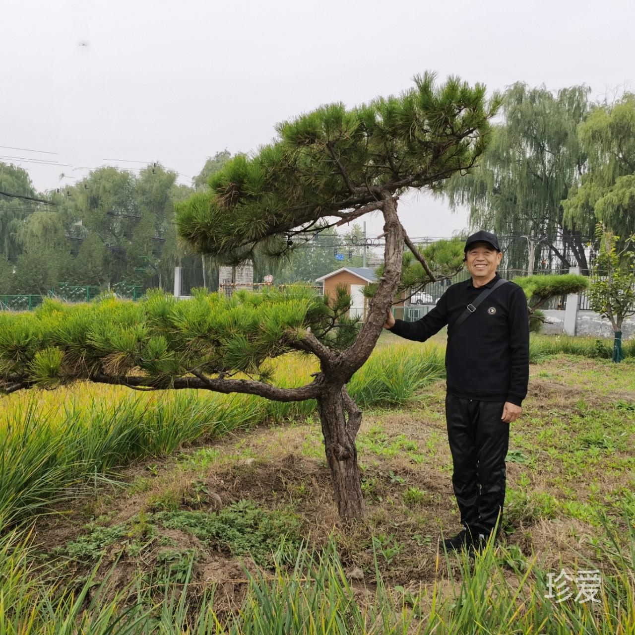 您后半生的依靠