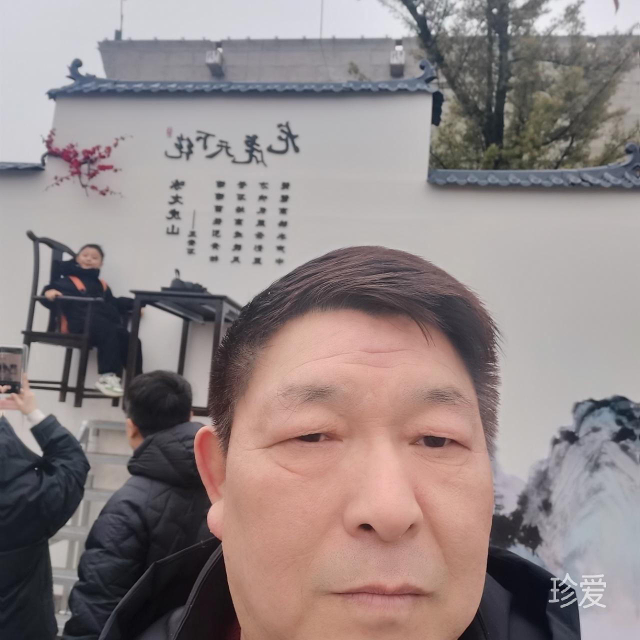 凉快的凤尾魚