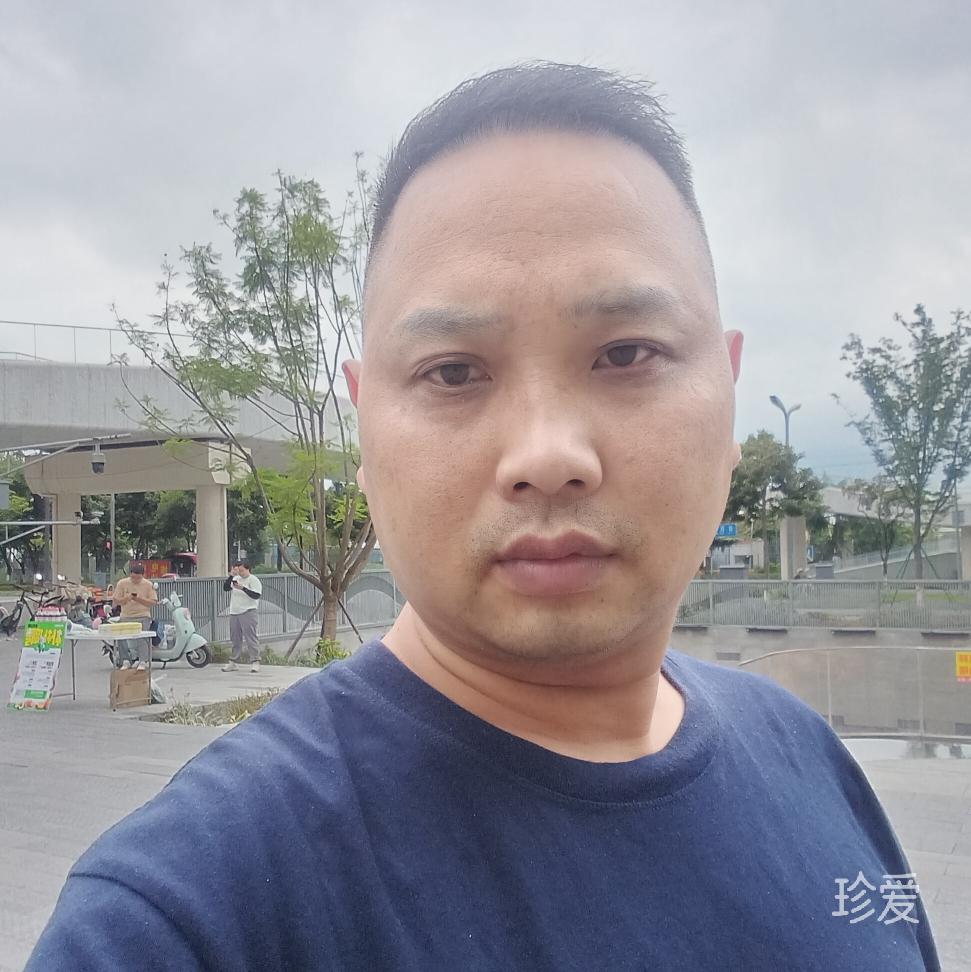 大漠苍狼