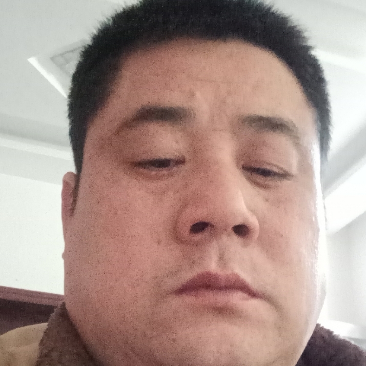 游水的鱼
