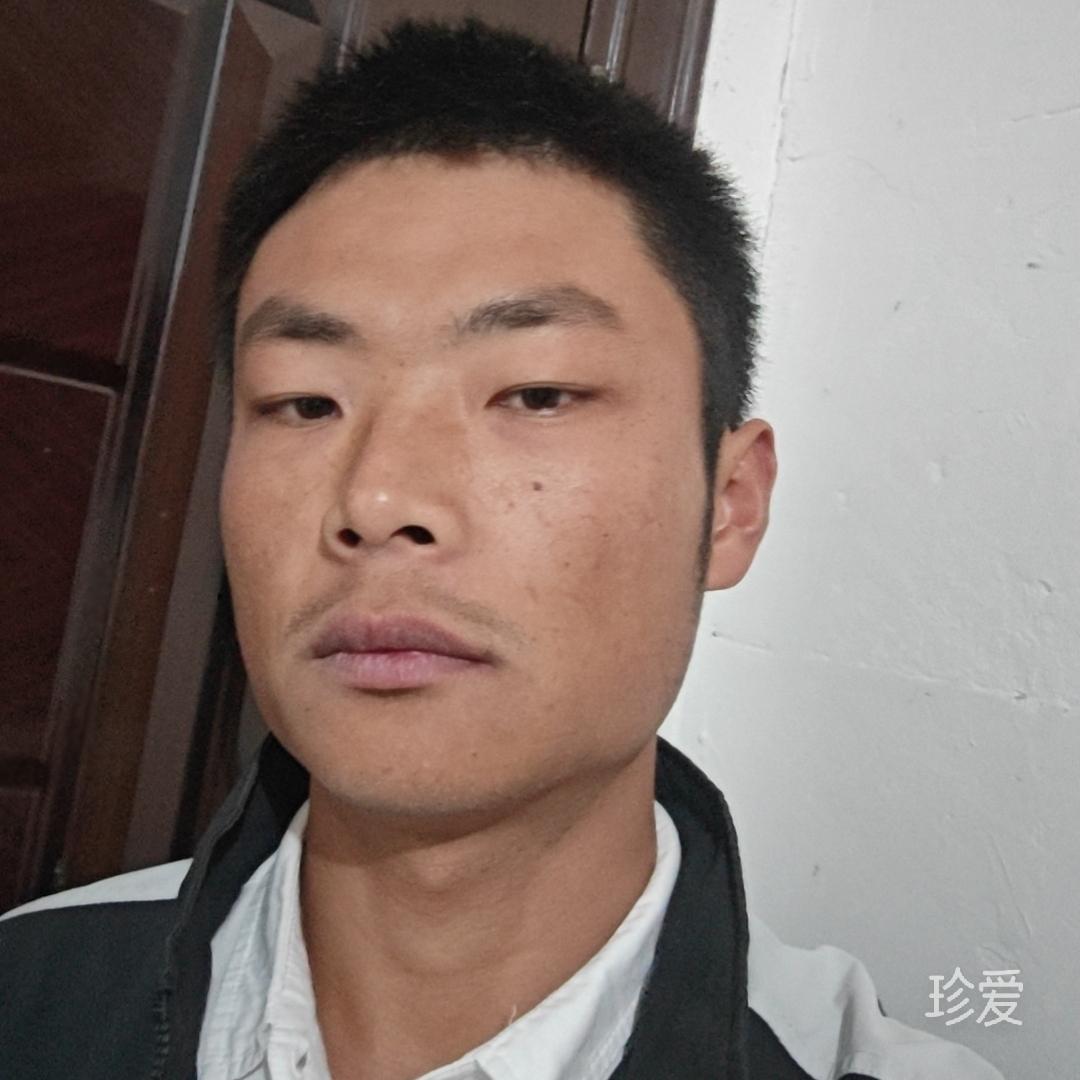 固执的四一八