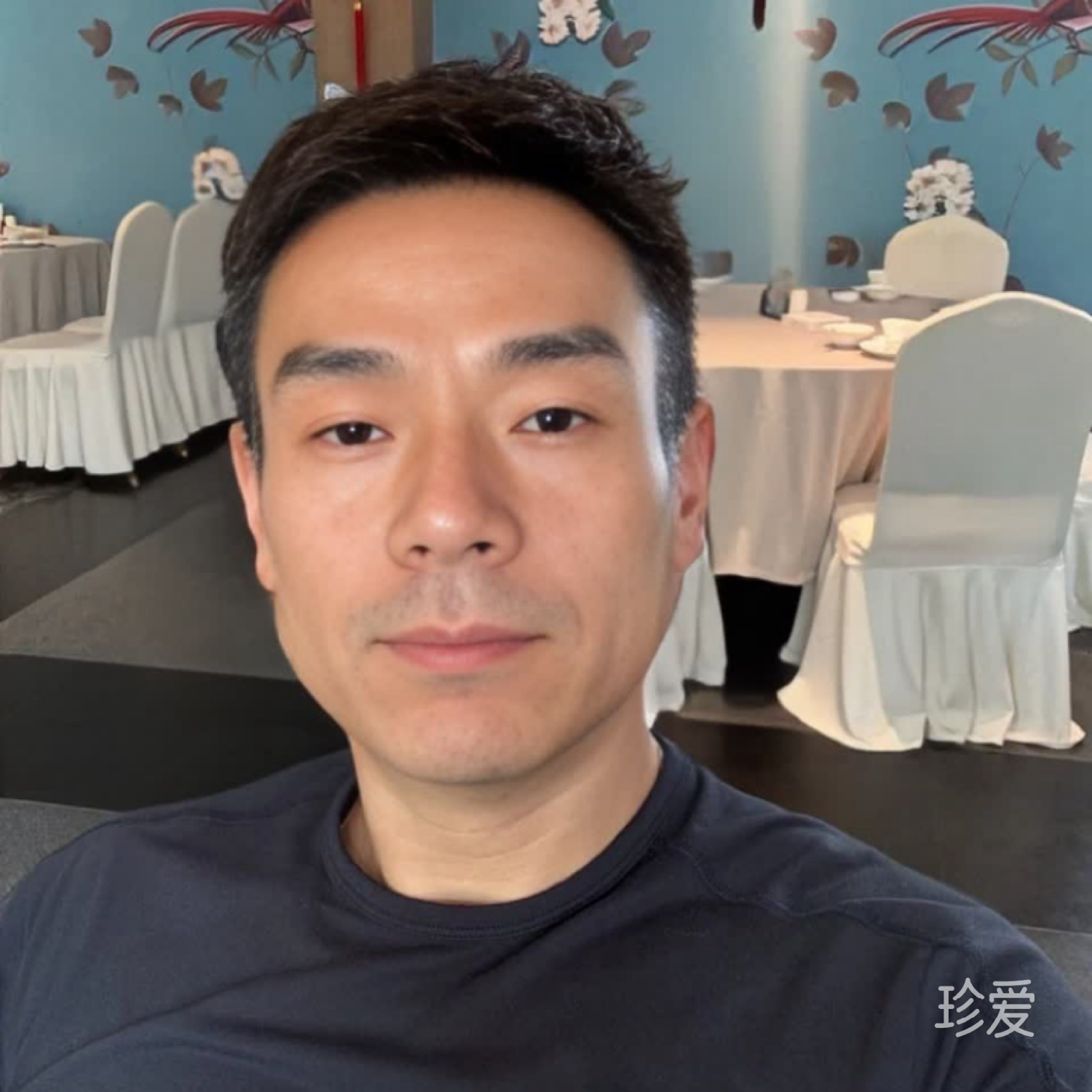 理想国度