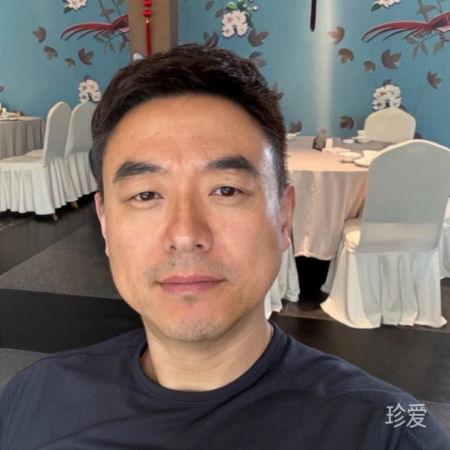 理想国度