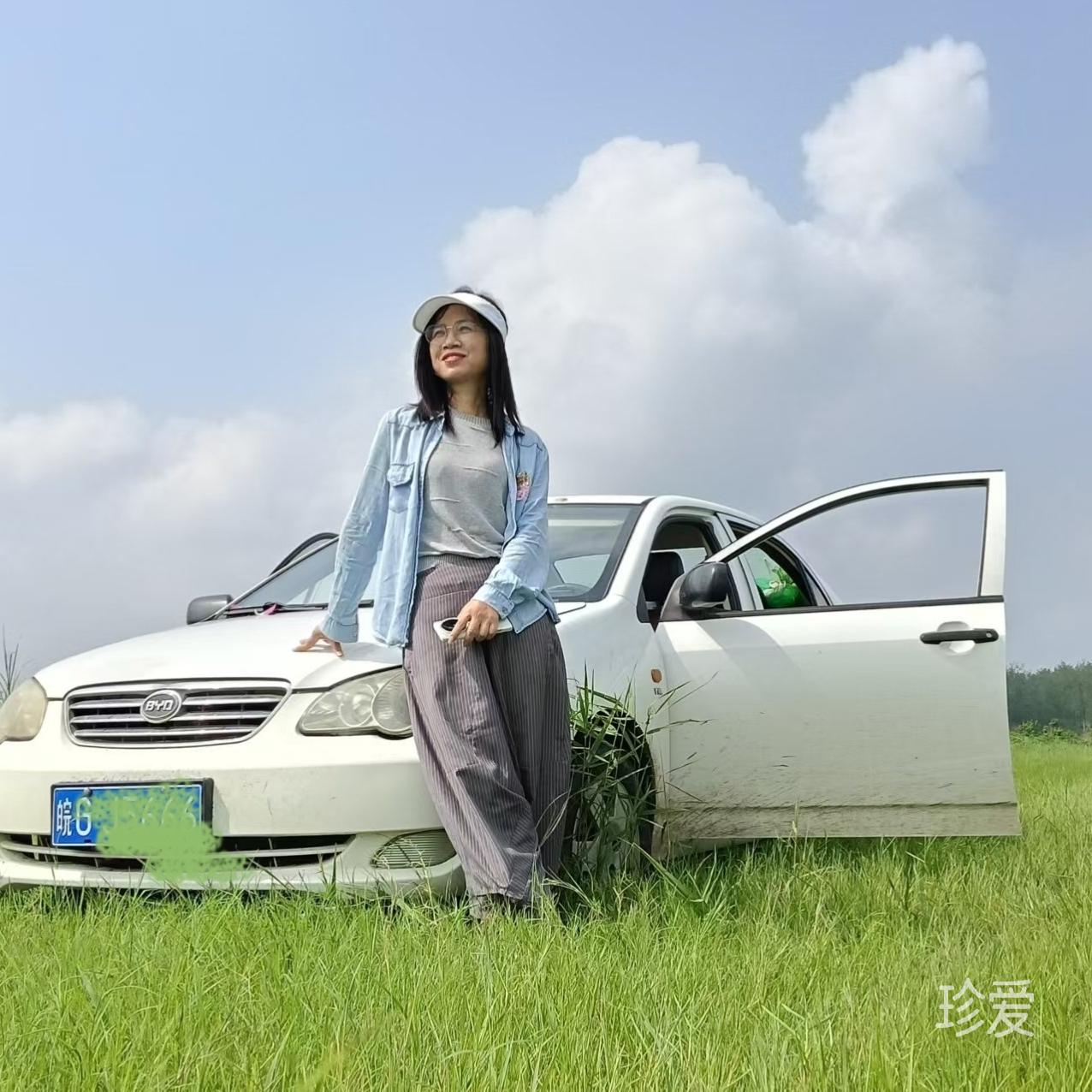 若只初见