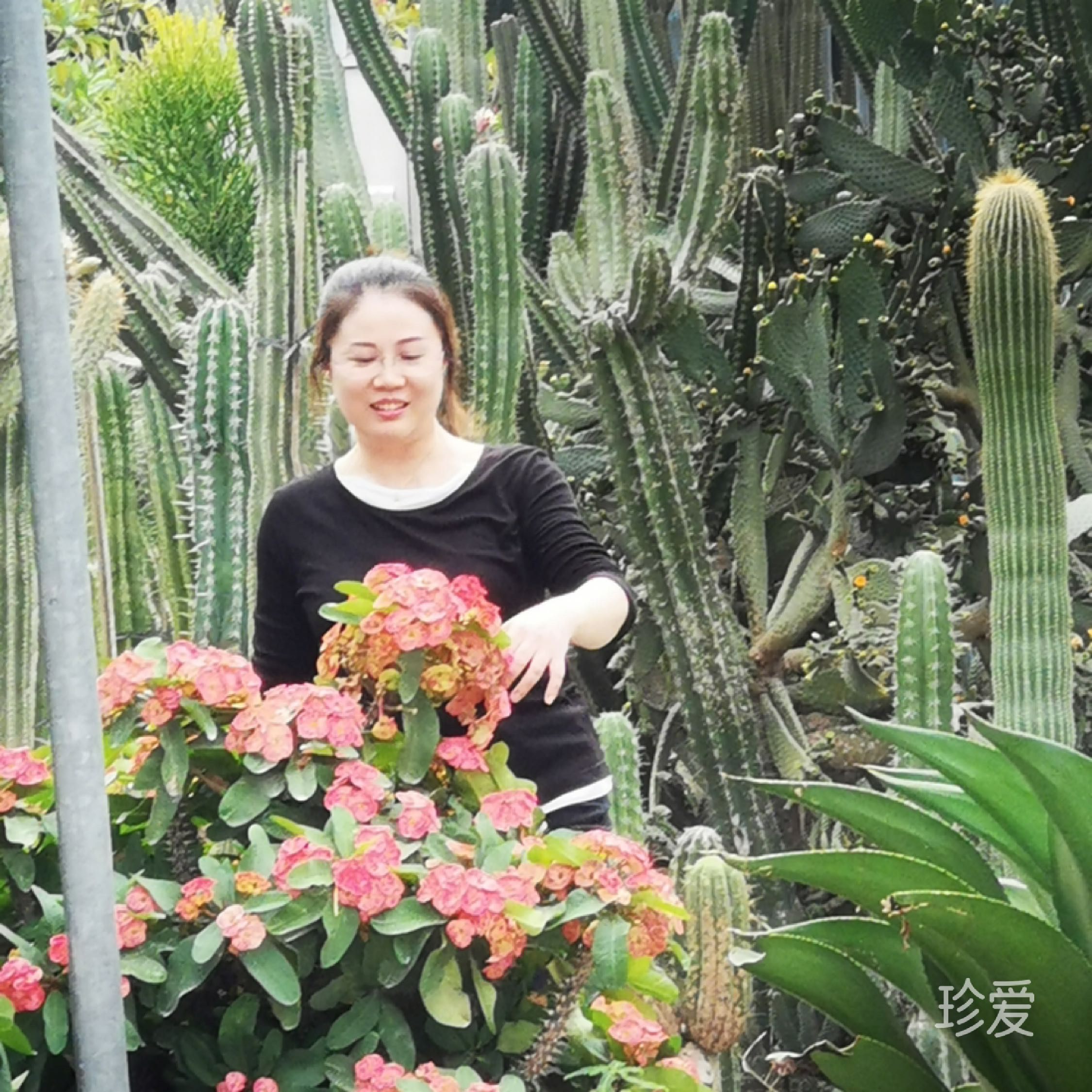 飄雪的季節(jié)