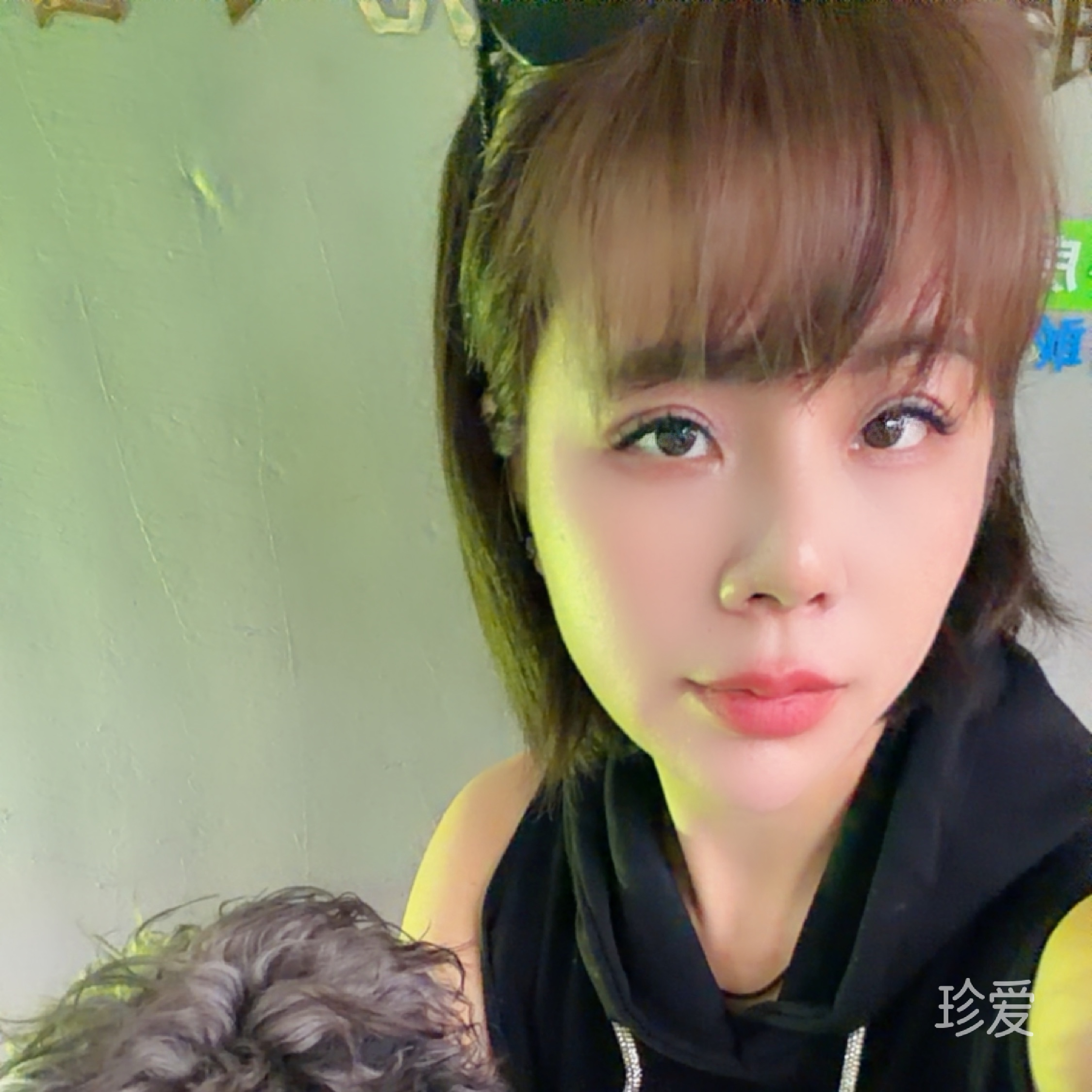 dodo