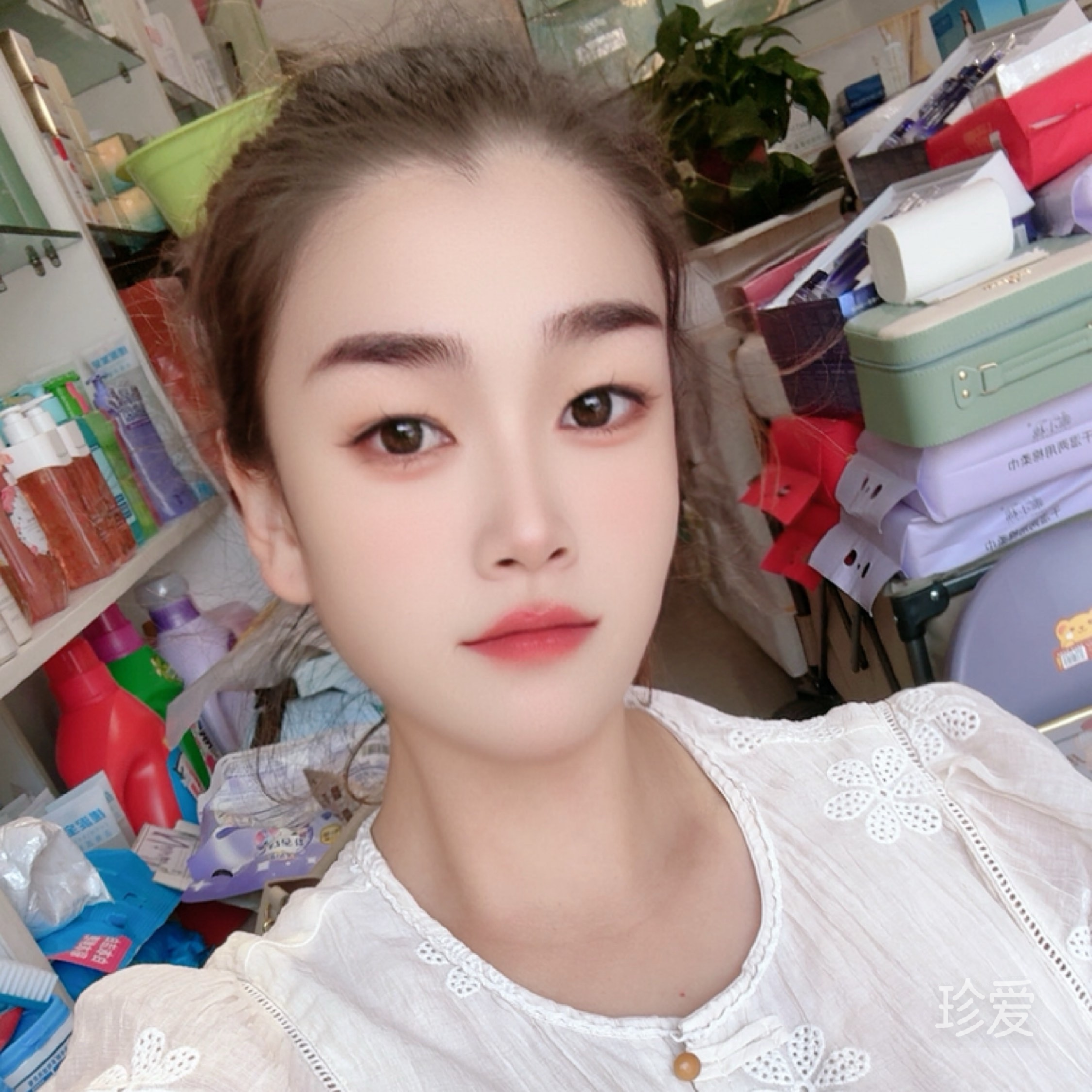 紫色桔梗