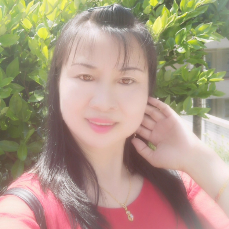 寻那片相伴的枫叶