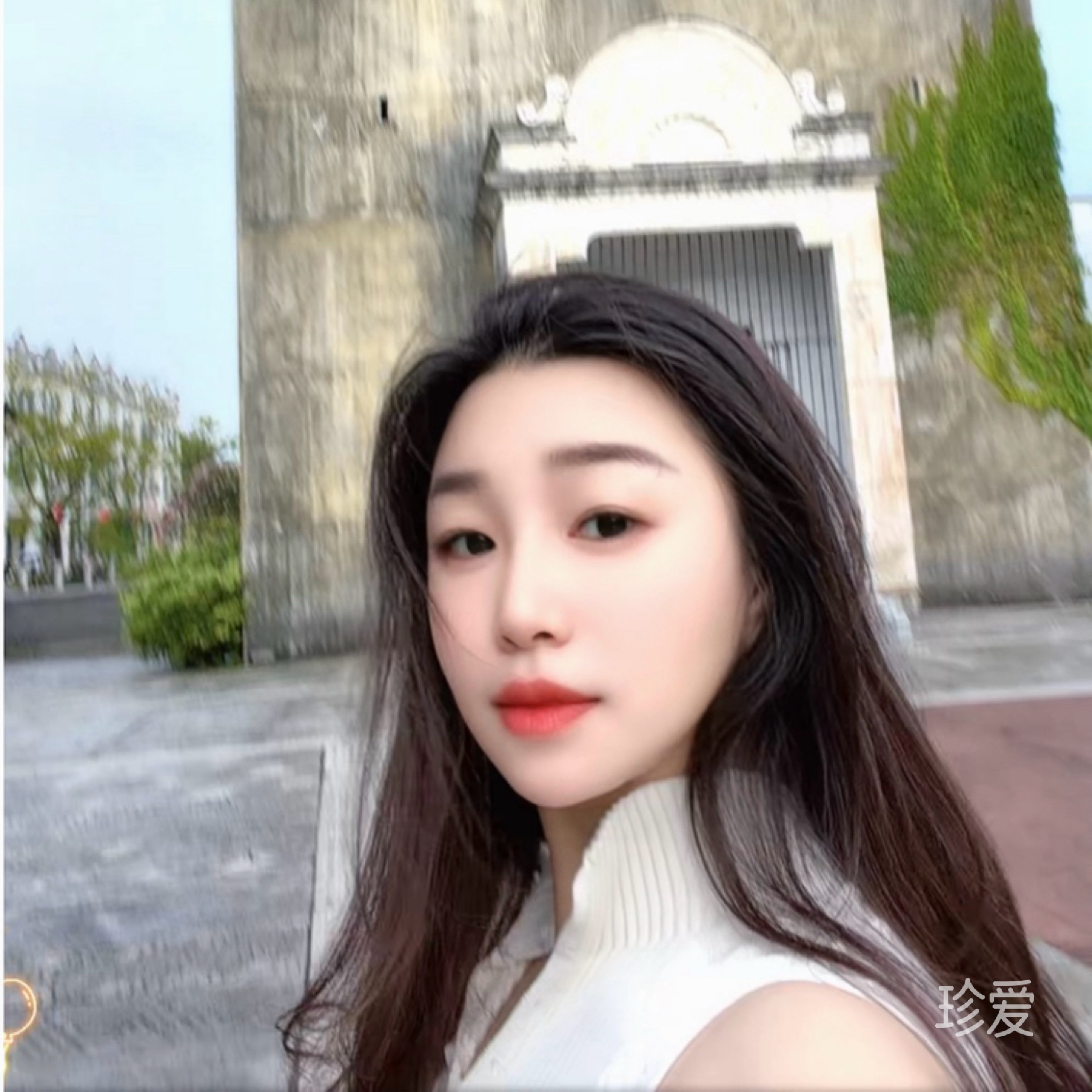 柳茵