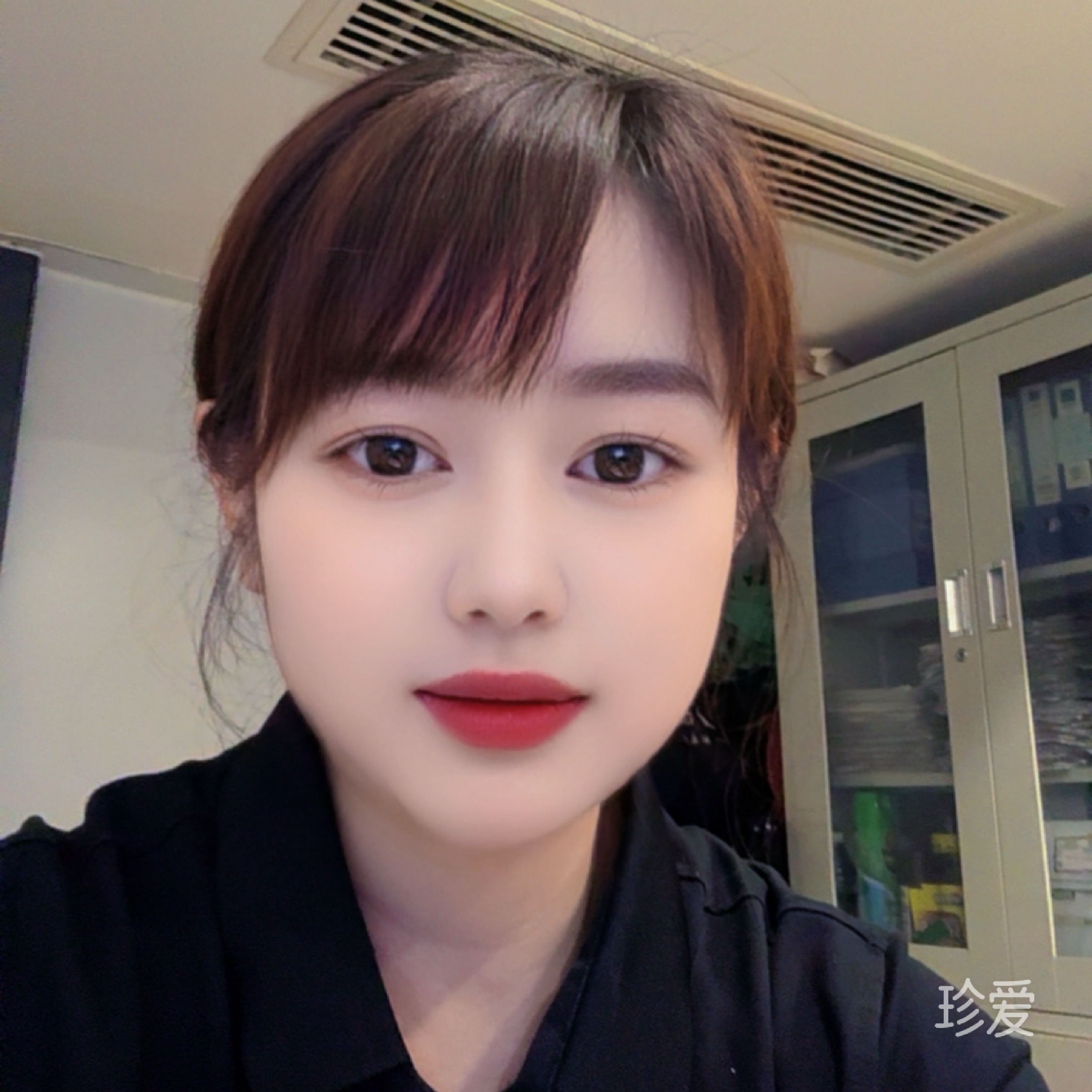 阳光下的向日葵