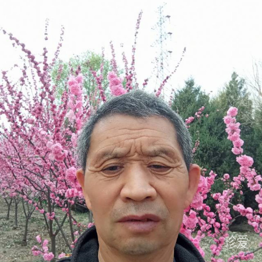 真爱与你
