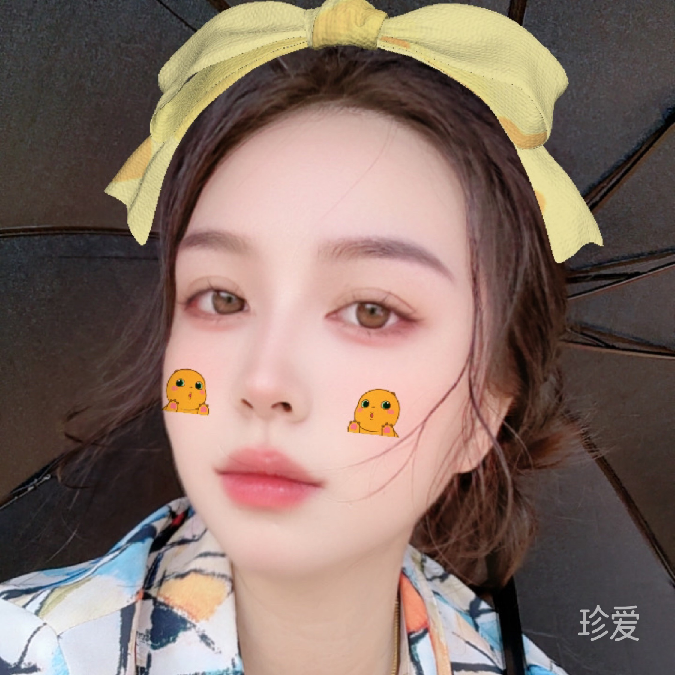 彩虹茉莉