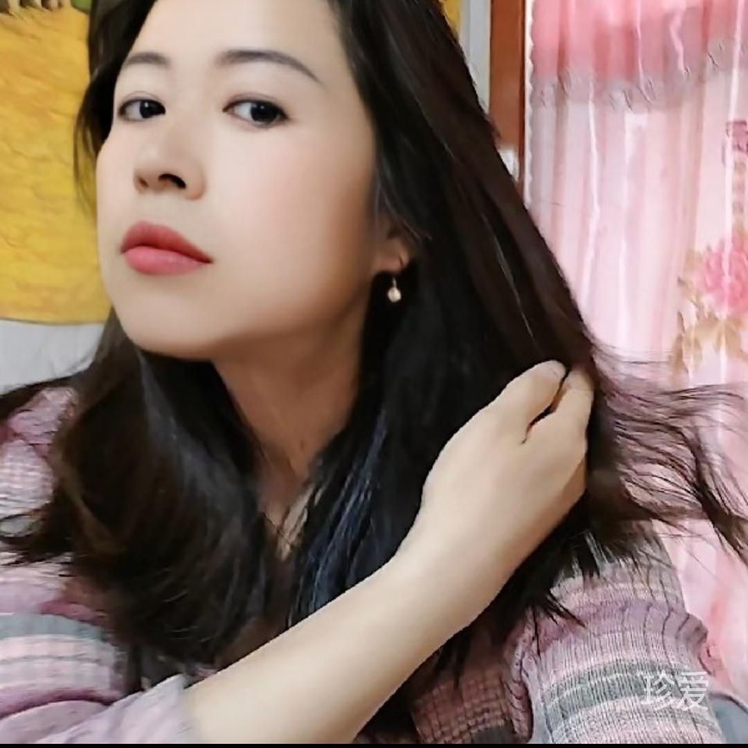 春天的玫瑰
