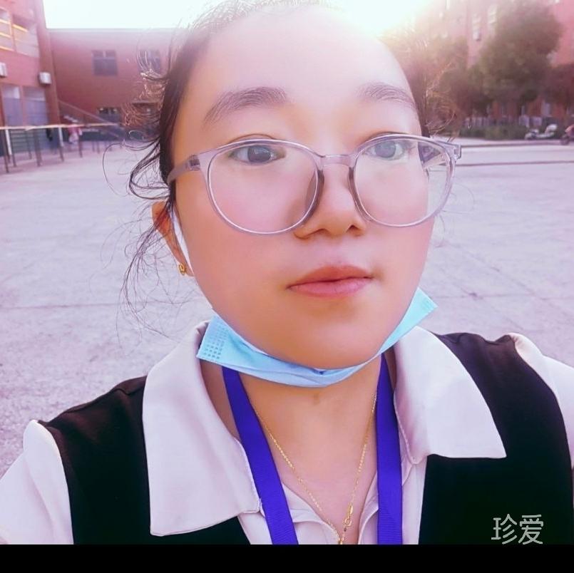 摇曳的玫瑰花