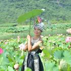 彩云追月