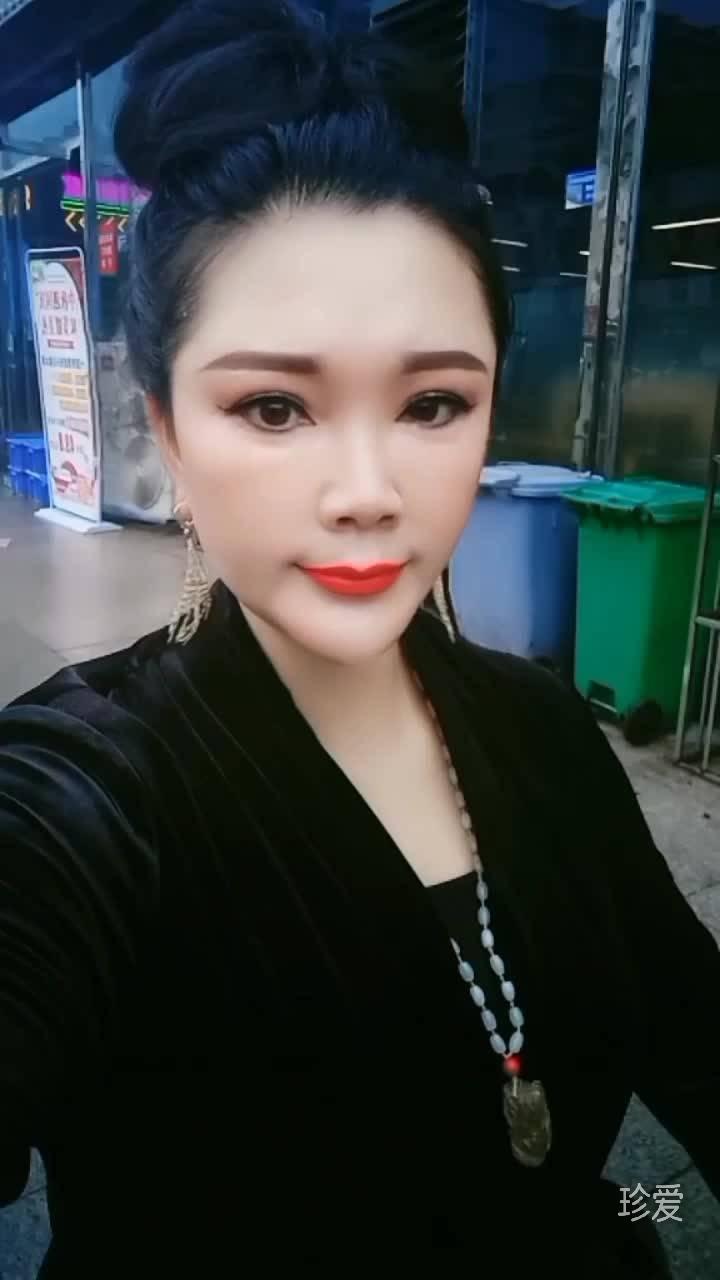 做你的怀里的猫