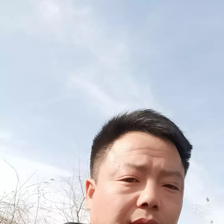 靠岸的浪子