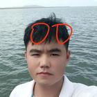 美國特斯拉股東