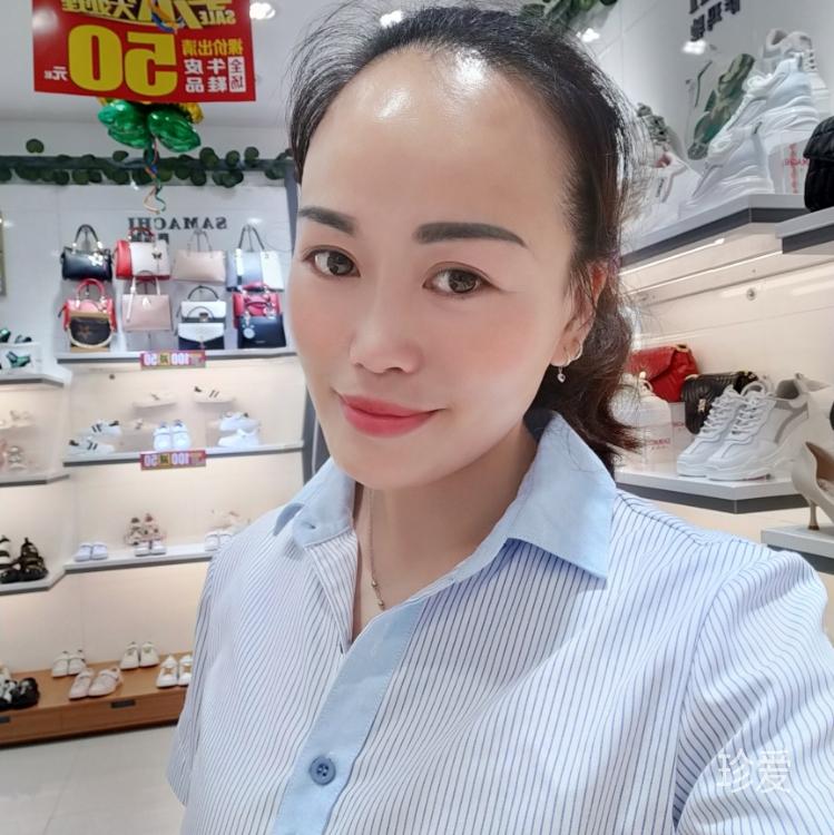 我心飛木易
