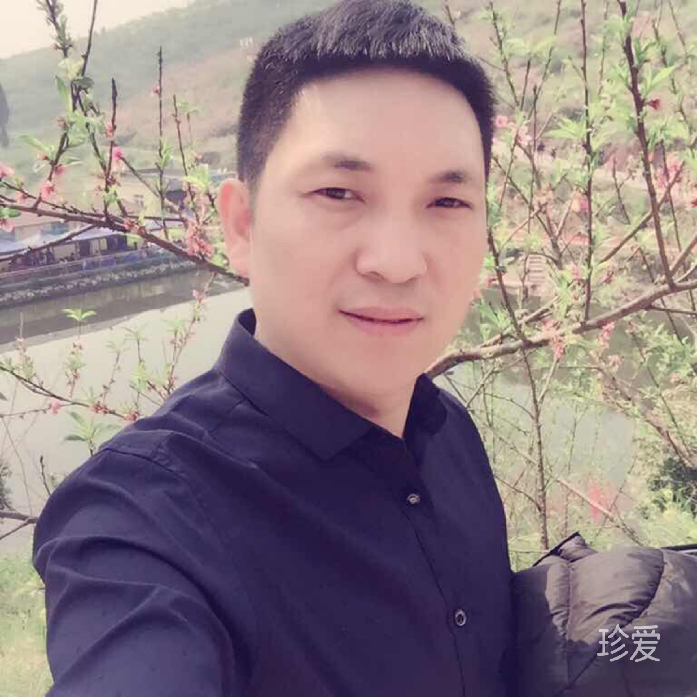 金誠(chéng)所致