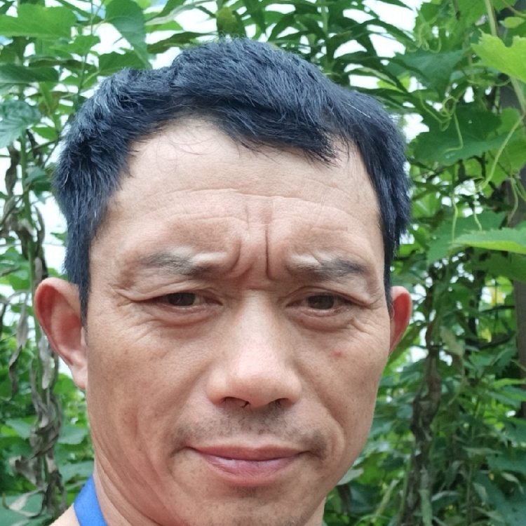 华平碧巧