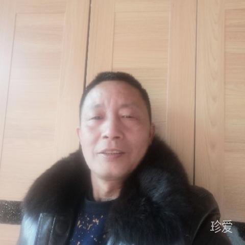 老实巴交的我