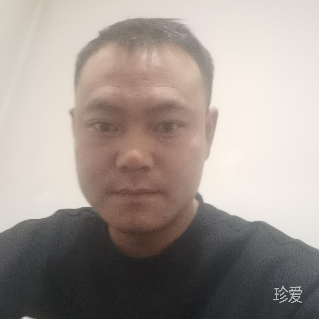 单身狗求收留