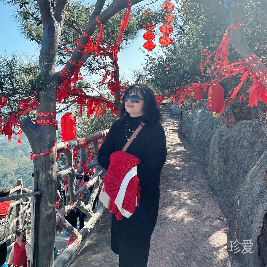 一半清城的微风