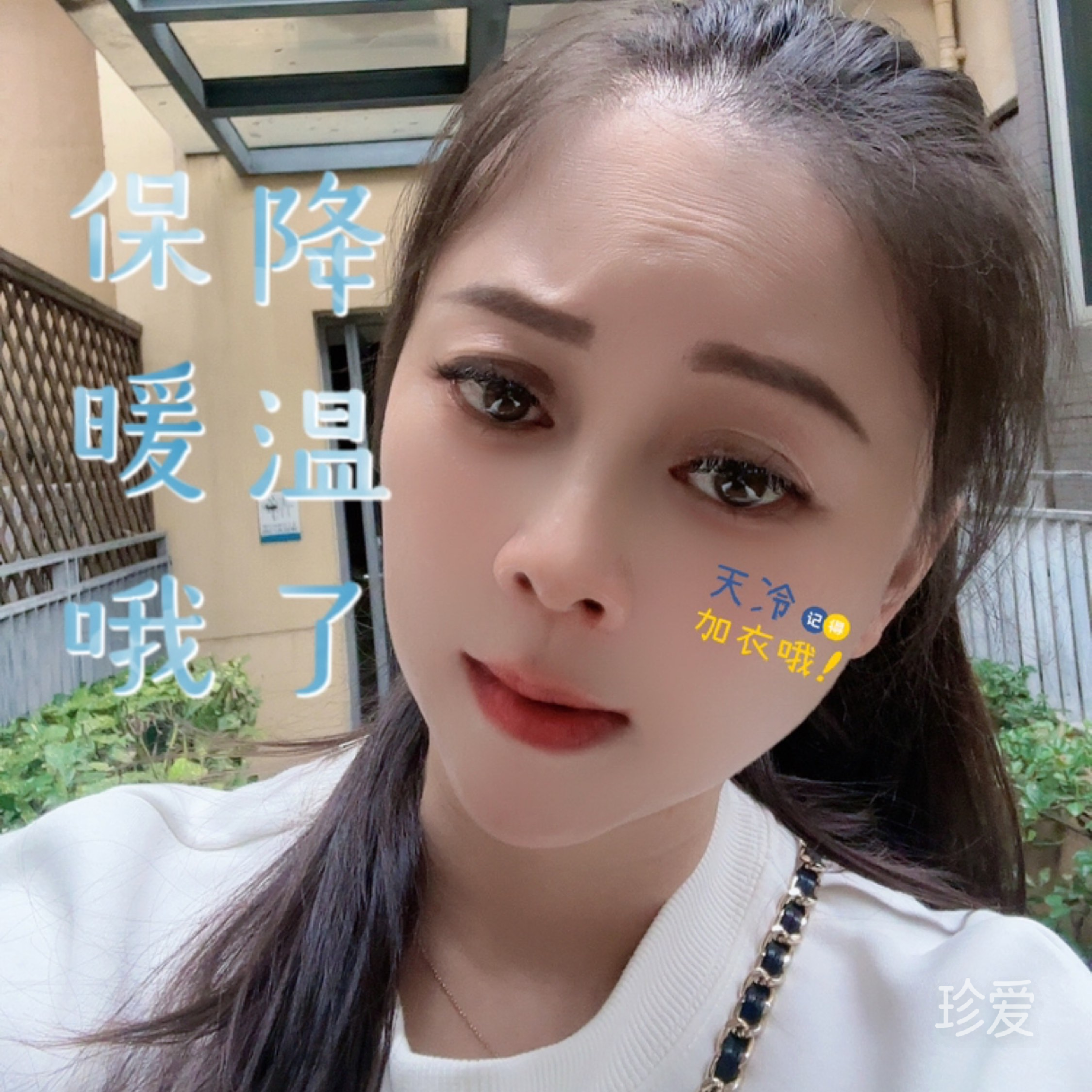 原味的柠檬