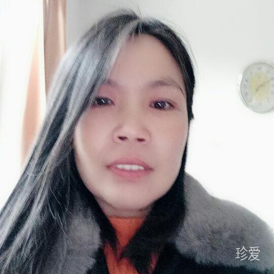 风吹落了记忆