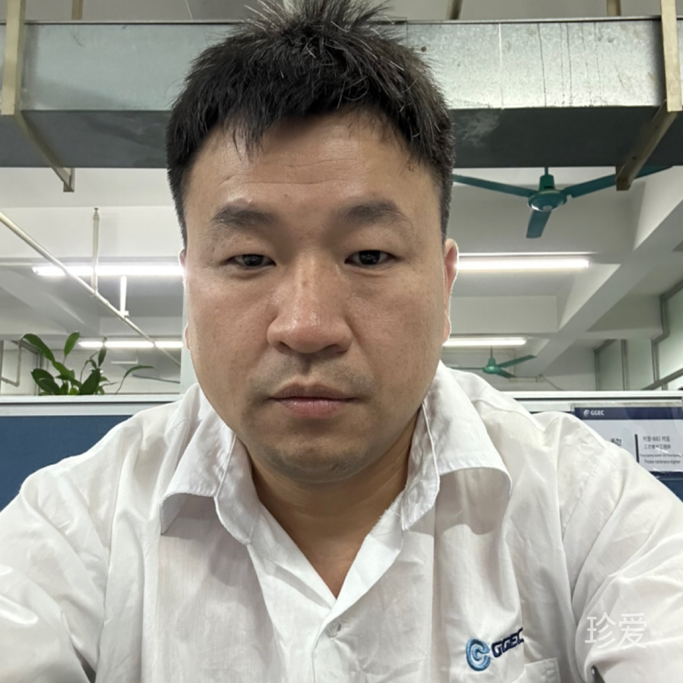 都怪时光太动听