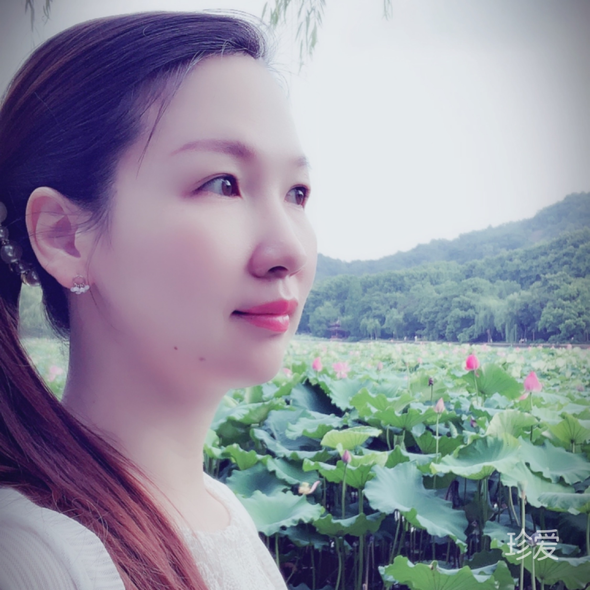 路過你的全世界