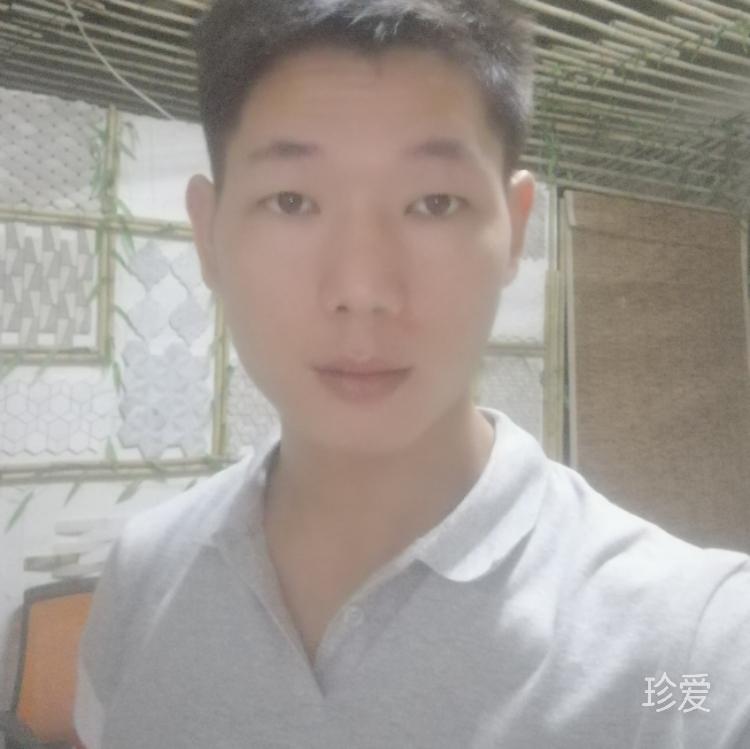 蚂蚁搬石头