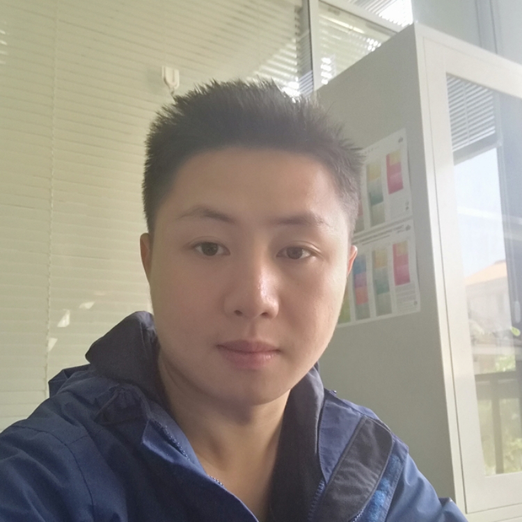 在悉尼思考的企鹅